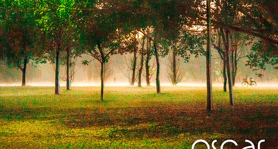 Trisul Oscar Ibirapuera Imagem 2